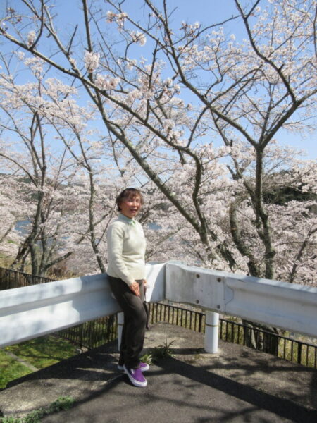 IMG 3042 450x600 - 【季節行事】お花見ドライブ