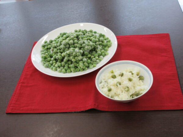 IMG 4105 600x450 - 【季節行事】えんどう豆の収穫