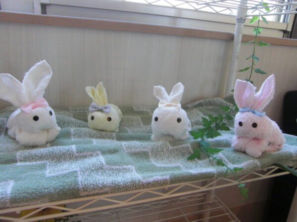 CIMG5404 600x450 - タオルで🐰うさぎ作り・・ユニット編