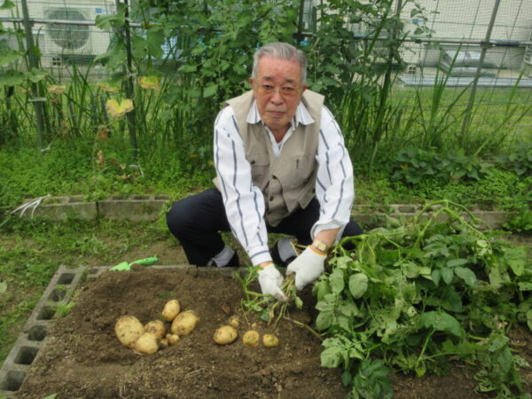 IMG 4399 600x450 - 【園芸】じゃがいも掘り