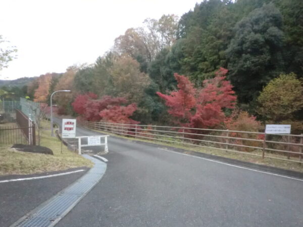 CIMG3671 1 600x450 - ユニット紅葉🍁ドライブ🚙　partⅡ