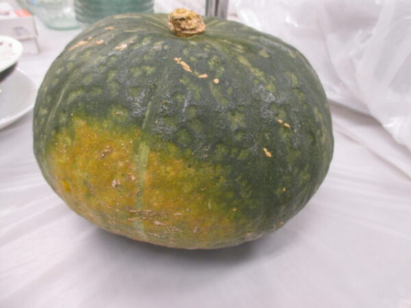 IMG 0002 1 600x450 - 手作りスイーツ第２弾（かぼちゃプリンモンブラン）🎃🌰✨