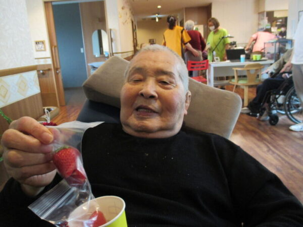 11 600x450 - 遅ればせながらいちご狩りです🍓
