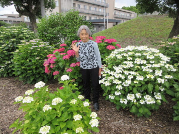 IMG 1092 600x450 - 【季節行事】紫陽花見学①