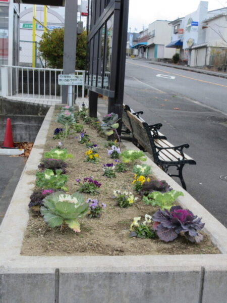 IMG 6119 450x600 - 【地域交流】スーパーの花壇の花植え