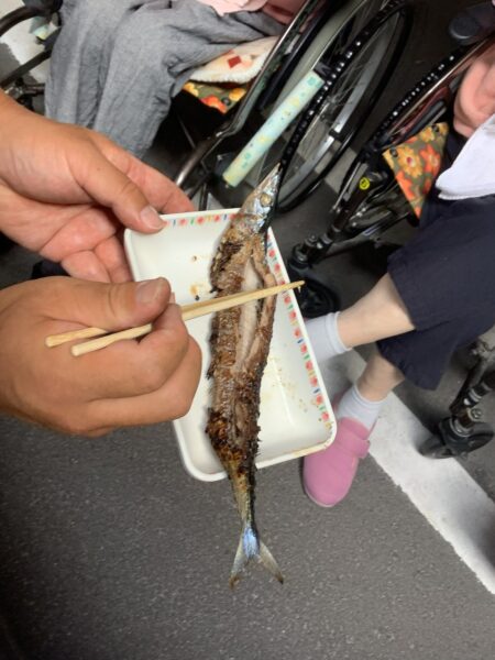 IMG 1907 450x600 - さんま🐟