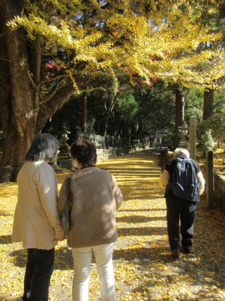 【季節行事】紅葉ドライブ🍂 IMG 3353 450x600 - 【季節行事】紅葉ドライブ🍂
