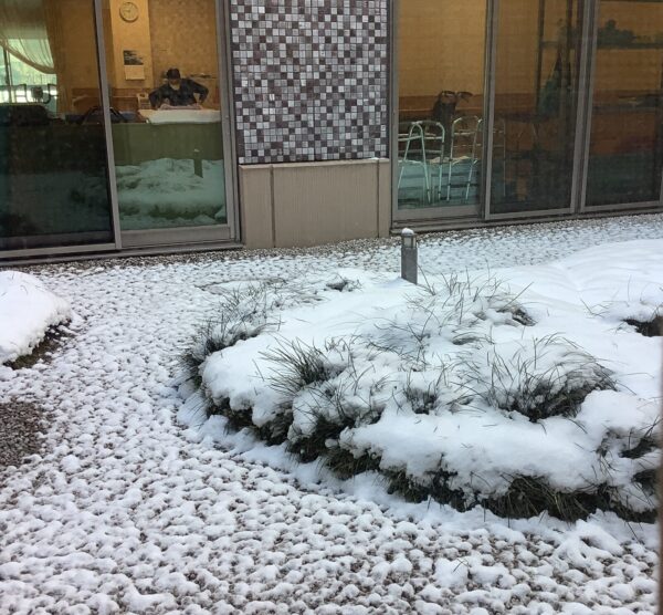 c4fccd8dd11f976ecc6c1e574569794a 600x556 - ２月のデイケアの様子