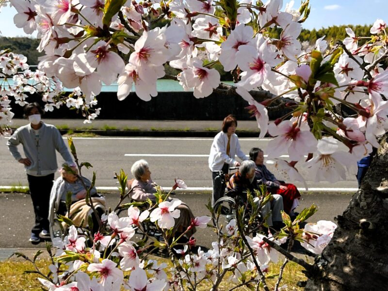 IMG 0401 800x600 - ４月　お花見に行ってきました🌸