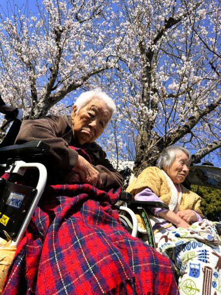 IMG 0573 450x600 - ４月　お花見に行ってきました🌸
