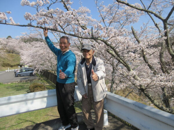 IMG 6229 600x450 - 【季節行事】さくらドライブ🌸🚙🌳