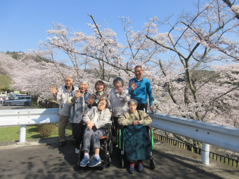 IMG 6235 800x600 - 【季節行事】さくらドライブ🌸🚙🌳