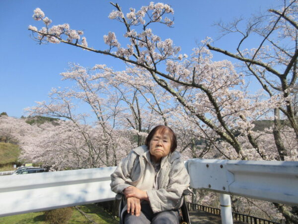 IMG 6243 600x450 - 【季節行事】さくらドライブ🌸🚙🌳