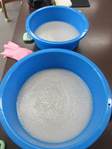 IMG 6722 450x600 - 【季節行事】こんにゃく作り🧊